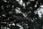 IMAGE_122040